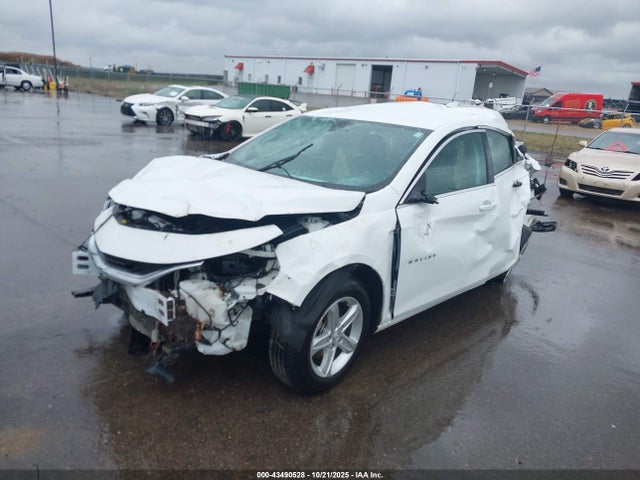 Продаж на аукціоні авто 2024 Chevrolet Malibu Fwd 1lt, vin: 1G1ZD5ST4RF185530, номер лоту: 43490528