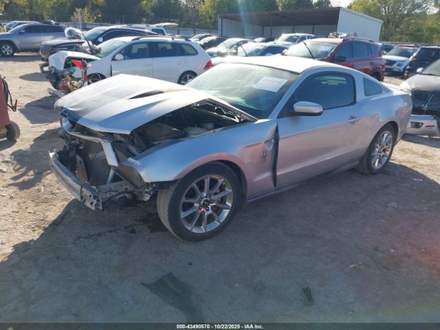 2010 FORD MUSTANG 1ZVBP8AN6A5156235 Photo 1