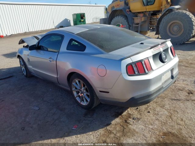 2010 FORD MUSTANG 1ZVBP8AN6A5156235 Photo 2