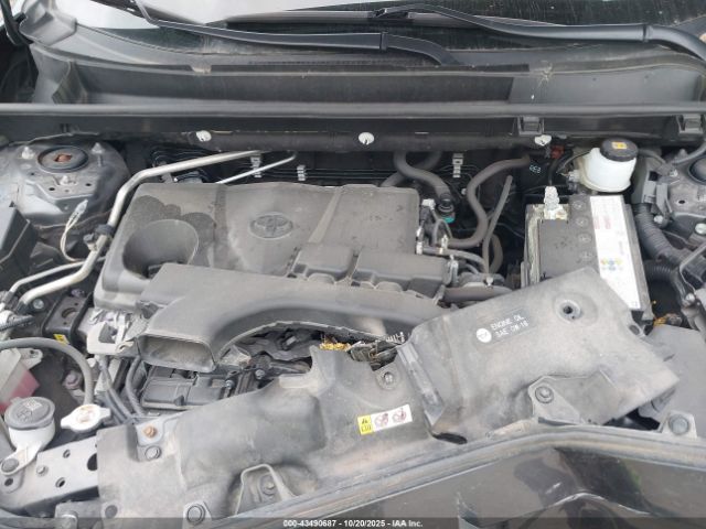 2019 TOYOTA RAV4 JTMP1RFV9KJ006508 Photo 9