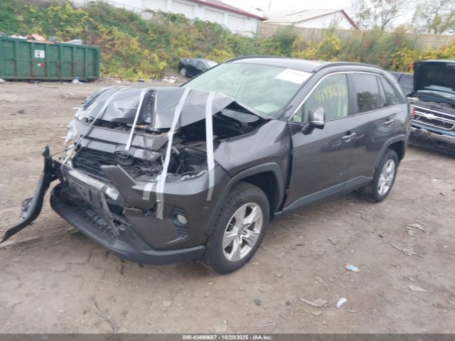 2019 TOYOTA RAV4 JTMP1RFV9KJ006508 Photo 1