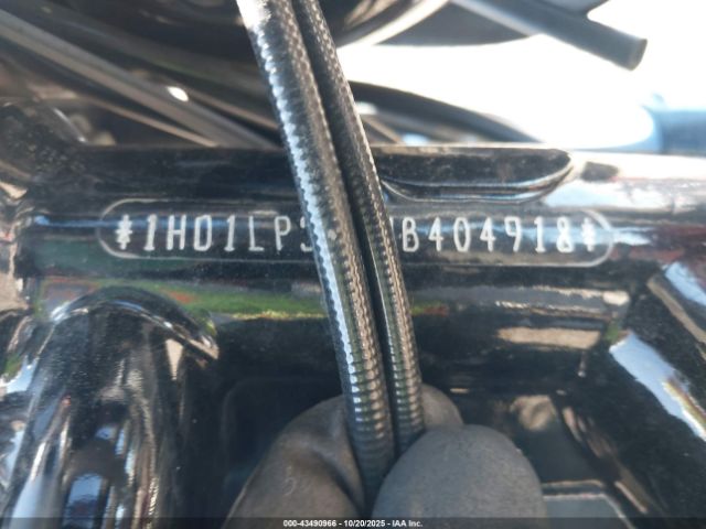 2021 HARLEY-DAVIDSON XL1200 1HD1LP310MB404918 Photo 9