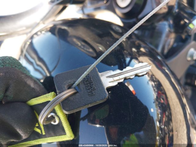 2021 HARLEY-DAVIDSON XL1200 1HD1LP310MB404918 Photo 10