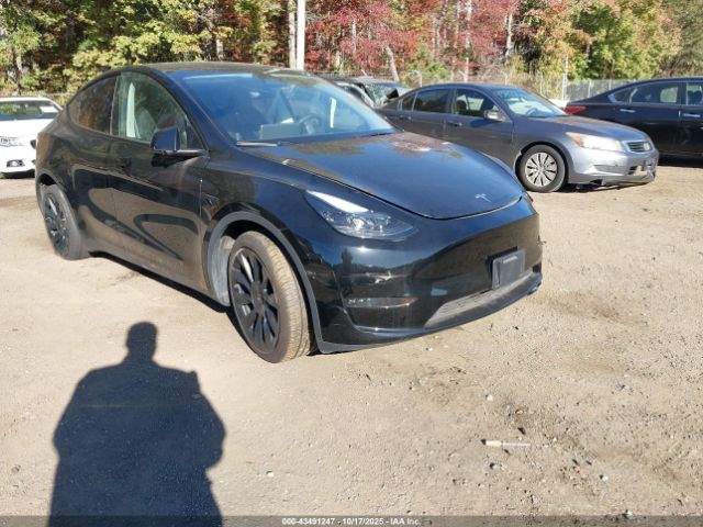 2024 TESLA MODEL Y 7SAYGDEE3RA225442 Photo 0