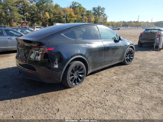 2024 TESLA MODEL Y 7SAYGDEE3RA225442 Photo 3