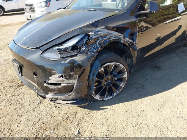 2024 TESLA MODEL Y 7SAYGDEE3RA225442 Photo 5