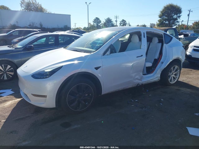 2023 TESLA MODEL Y 7SAYGDEE0PF628763 Photo 1