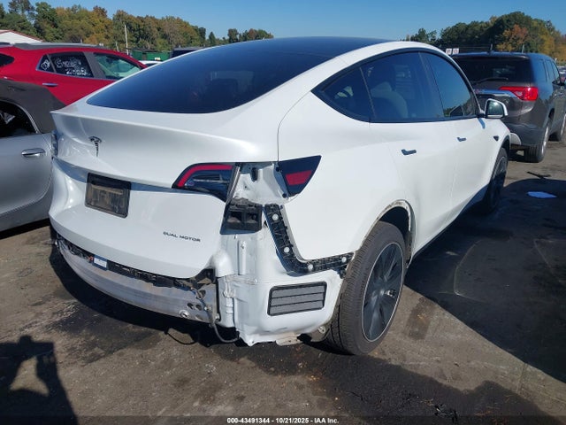 2023 TESLA MODEL Y 7SAYGDEE0PF628763 Photo 3