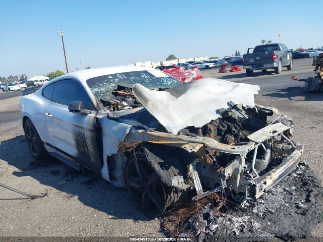 2021 FORD MUSTANG 1FA6P8R05M5555998