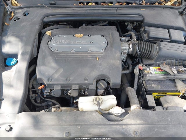 Продаж на аукціоні авто 2004 Acura Tl, vin: 19UUA66294A043439, номер лоту: 43491765