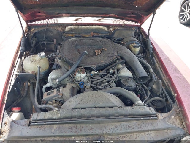 1977 Mercedes C250 მანქანა იყიდება აუქციონზე, vin: 10704412039474, აუქციონის ნომერი: 43492023