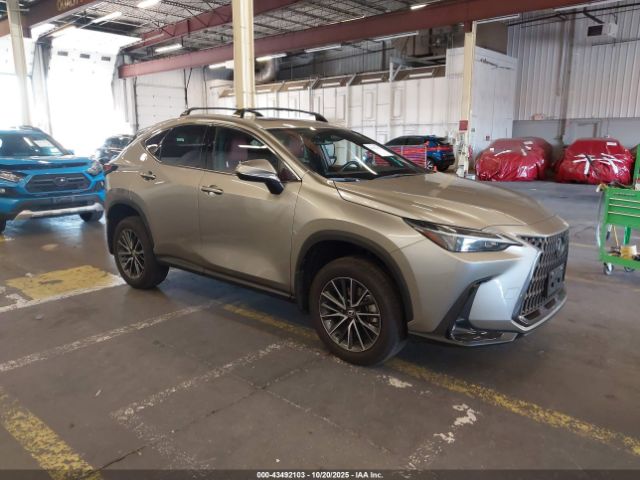 2024 LEXUS NX 350H 2T2AKCEZ7RC018534