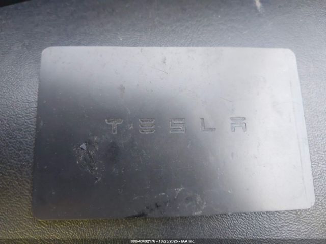 2019 TESLA MODEL 3 5YJ3E1EA7KF317235 Photo 10