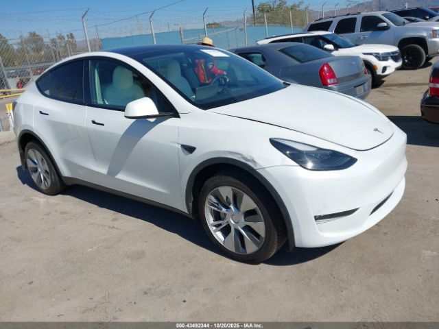 2023 TESLA MODEL Y 7SAYGDEE0PF596381 Photo 0