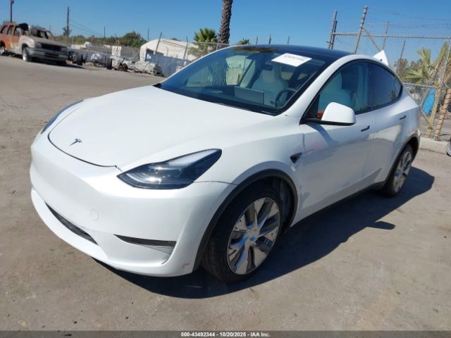 2023 TESLA MODEL Y 7SAYGDEE0PF596381 Photo 1