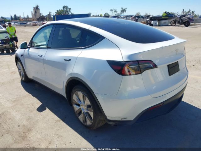 2023 TESLA MODEL Y 7SAYGDEE0PF596381 Photo 2
