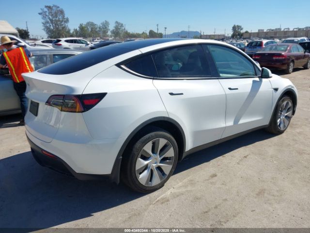 2023 TESLA MODEL Y 7SAYGDEE0PF596381 Photo 3