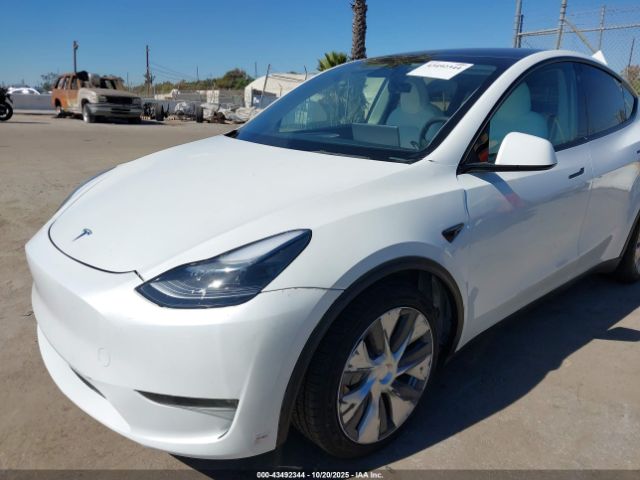 2023 TESLA MODEL Y 7SAYGDEE0PF596381 Photo 5