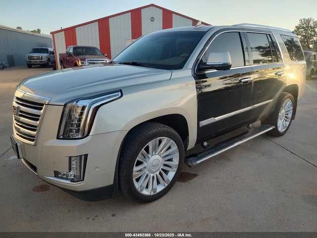 2017 CADILLAC ESCALADE 1GYS4DKJ8HR383861 Photo 1