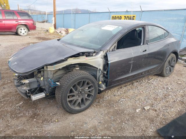 2024 TESLA MODEL 3 5YJ3E1EB8RF811056 Photo 1