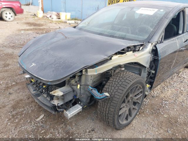 2024 TESLA MODEL 3 5YJ3E1EB8RF811056 Photo 5