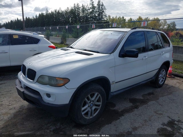 2006 Bmw X5 3.0i მანქანა იყიდება აუქციონზე, vin: 5UXFA13536LY31390, აუქციონის ნომერი: 43492903