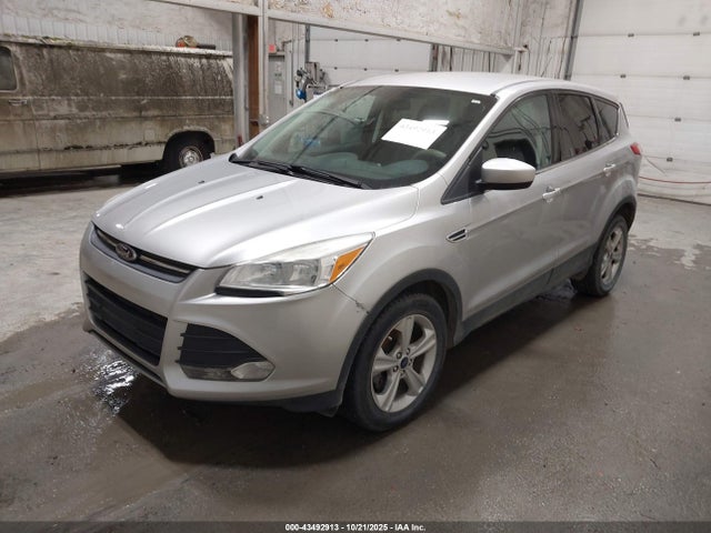 Ford ESCAPE SE 2014 1FMCU0GX5EUC99162 Image 2