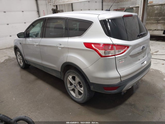 Ford ESCAPE SE 2014 1FMCU0GX5EUC99162 Image 3