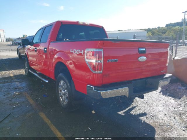 2011 FORD F-150 1FTFW1EF1BKD74779 Photo 2