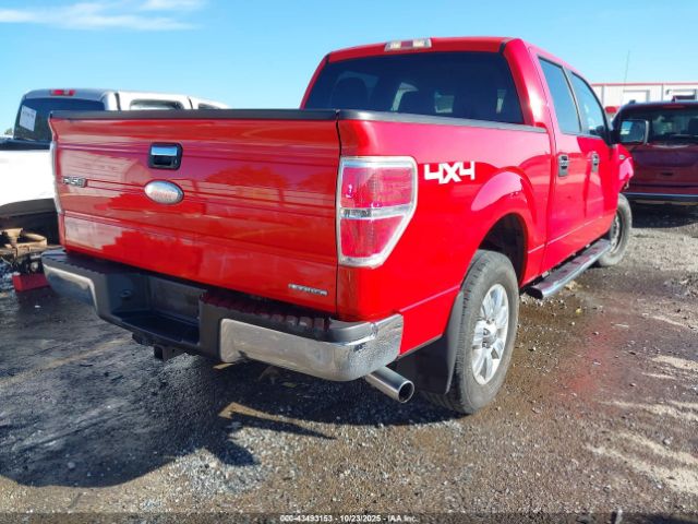 2011 FORD F-150 1FTFW1EF1BKD74779 Photo 3