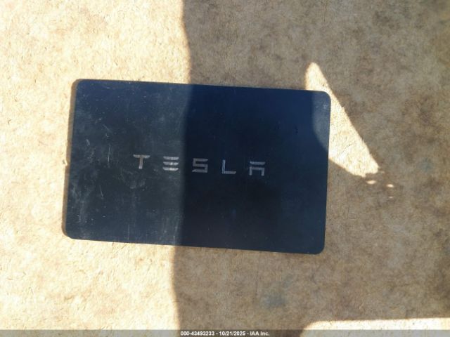 2025 TESLA MODEL 3 5YJ3E1EA5SF980285 Photo 10