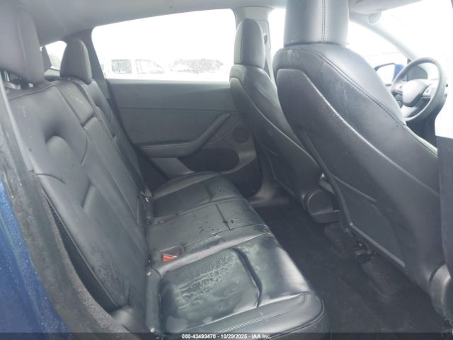 2023 TESLA MODEL Y 7SAYGDEE7PF664045 Photo 7