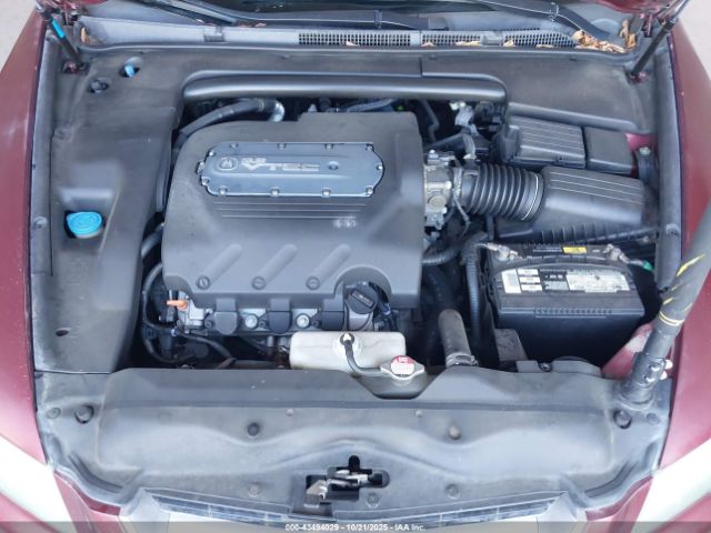 2004 ACURA TL 19UUA66244A020165 Photo 9