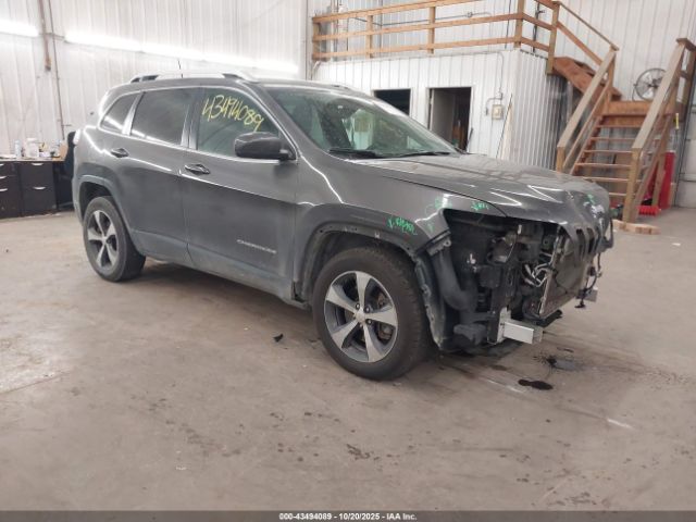 2019 JEEP CHEROKEE 1C4PJMDX9KD133507