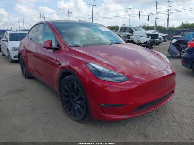 2023 TESLA MODEL Y 7SAYGDEF9PF777746