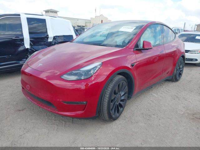 2023 TESLA MODEL Y 7SAYGDEF9PF777746 Photo 1
