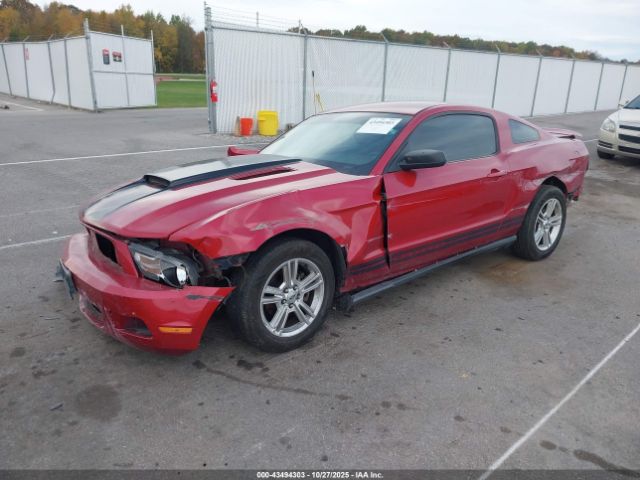 2010 FORD MUSTANG 1ZVBP8AN2A5147919 Photo 1