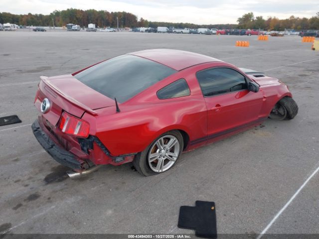 2010 FORD MUSTANG 1ZVBP8AN2A5147919 Photo 3