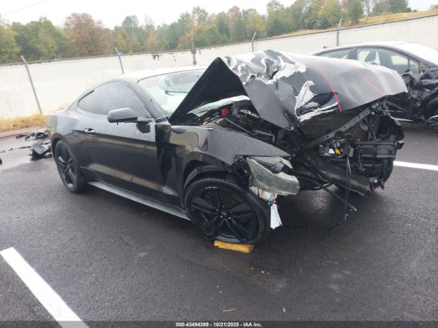 2015 FORD MUSTANG 1FA6P8TH8F5344196