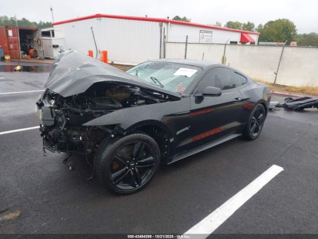 2015 FORD MUSTANG 1FA6P8TH8F5344196 Photo 1