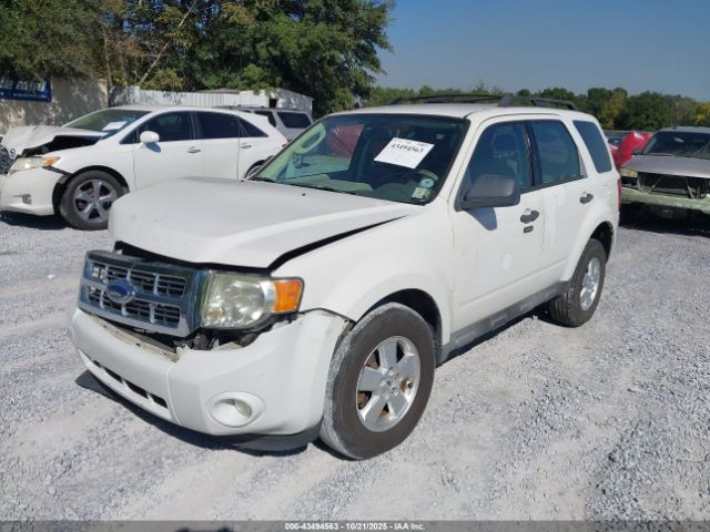 2009 FORD ESCAPE 1FMCU93G69KA85986 Photo 1