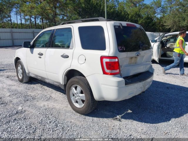 2009 FORD ESCAPE 1FMCU93G69KA85986 Photo 2