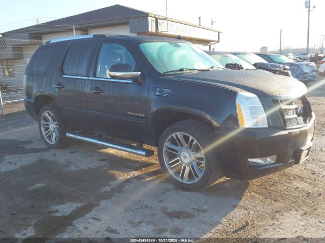 2013 CADILLAC ESCALADE 1GYS4CEF0DR153145