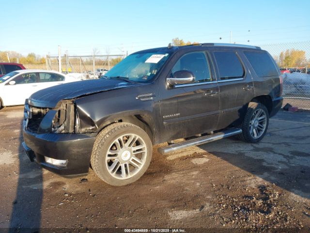 2013 CADILLAC ESCALADE 1GYS4CEF0DR153145 Photo 1