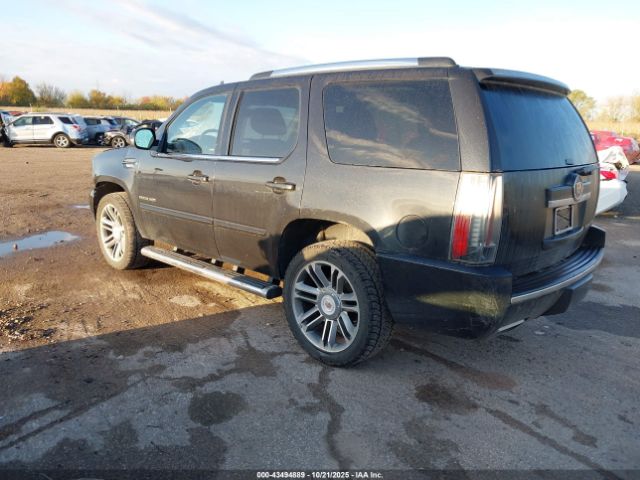 2013 CADILLAC ESCALADE 1GYS4CEF0DR153145 Photo 2