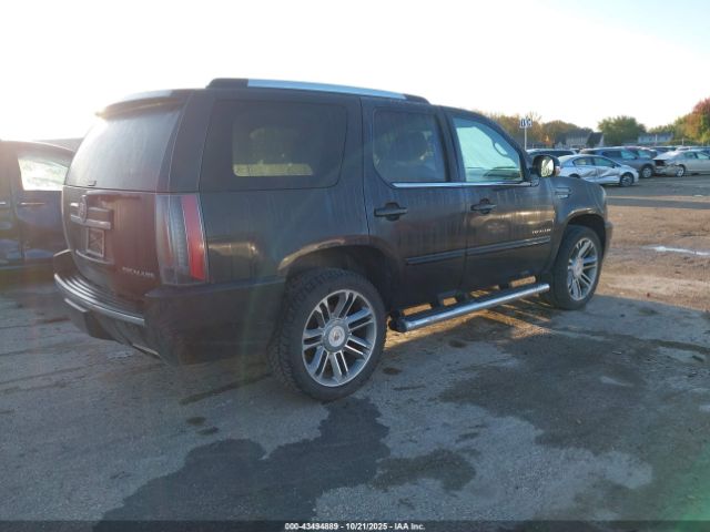 2013 CADILLAC ESCALADE 1GYS4CEF0DR153145 Photo 3