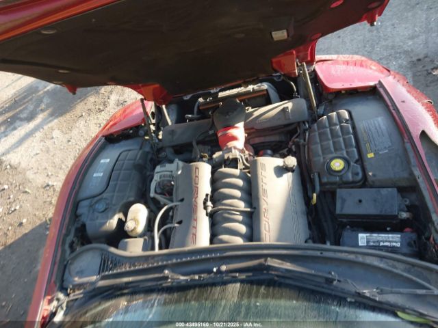 1997 CHEVROLET CORVETTE 1G1YY22G0V5106534 Photo 9