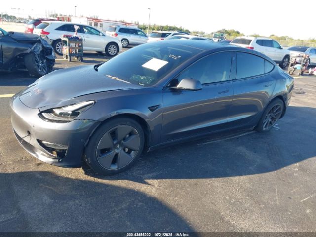 2023 TESLA MODEL 3 5YJ3E1EA8PF489958 Photo 1