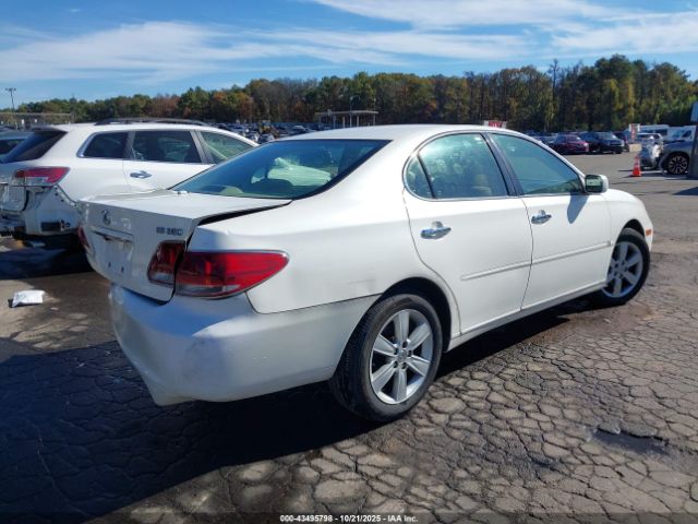 2005 LEXUS ES 330 JTHBA30GX55076984 Photo 3