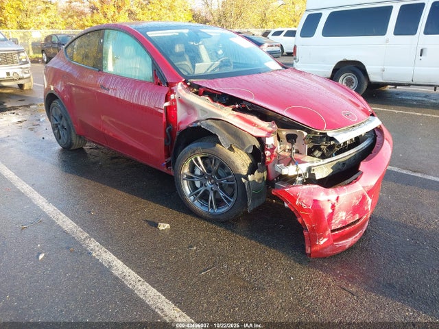 2024 TESLA MODEL Y 7SAYGDEE4RF157669 Photo 0